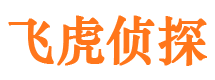 渑池外遇调查取证